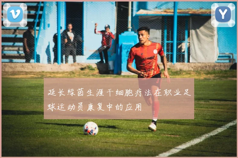 延长绿茵生涯干细胞疗法在职业足球运动员康复中的应用