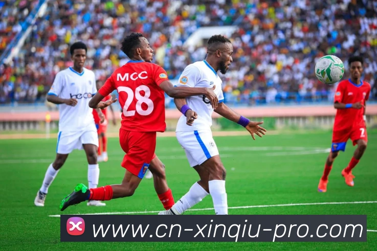 新球体育平台生态图