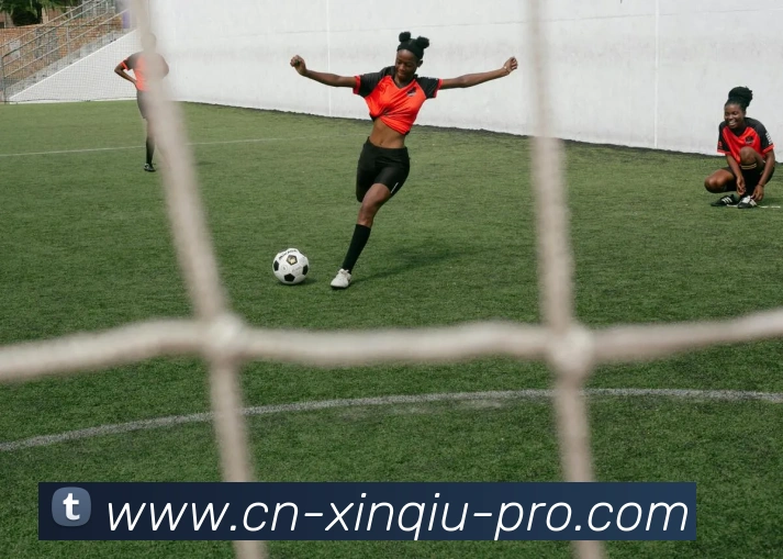 新球体育APP 封面图